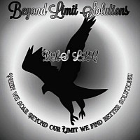 We Soar Beyond Limit to reach all Solutions!